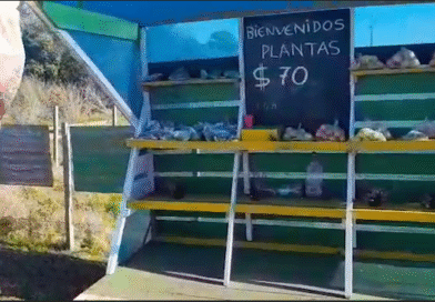 Kiosco Honestidad : refugio de confianza en plena ruta uruguaya