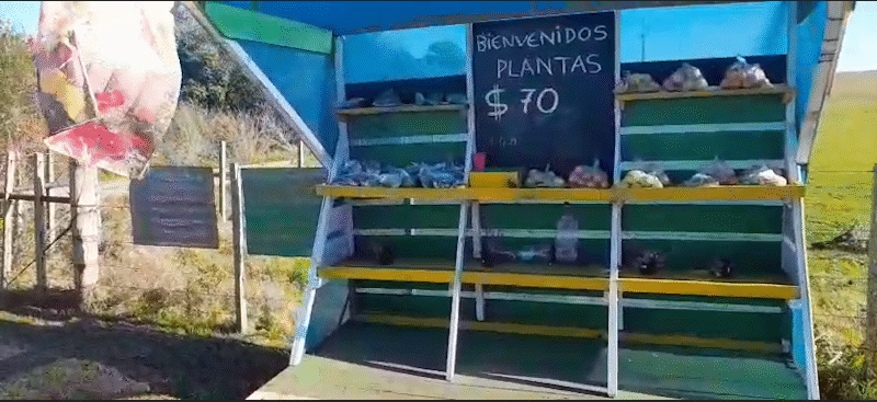 Kiosco Honestidad : refugio de confianza en plena ruta uruguaya