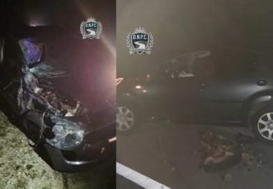 ACCIDENTE MORTAL EN RUTA 9