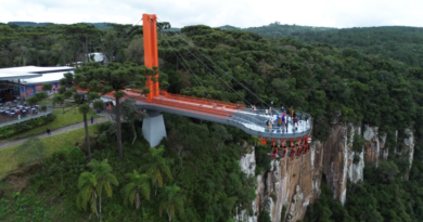 CANELA,UNA SUIZA EN AMÉRICA