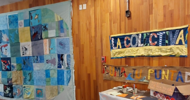 MUESTRA TEXTIL EN EL CURE . “Quillapi Hue”: una manta que invita a mirar y proteger el mar