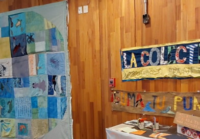 MUESTRA TEXTIL EN EL CURE . “Quillapi Hue”: una manta que invita a mirar y proteger el mar