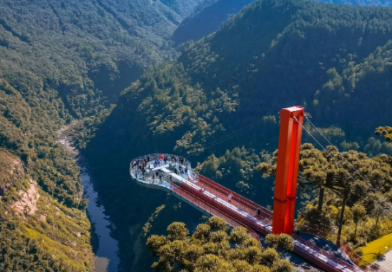 Skyglass Canela: donde el paisaje se convierte en una experiencia inolvidable